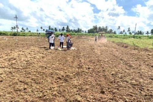 Jayadev Banana Farmers & Artisans Association