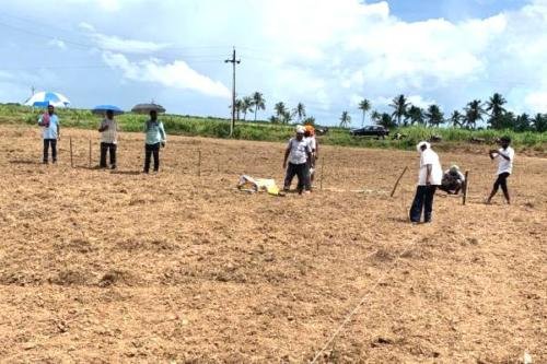 Jayadev Banana Farmers & Artisans Association