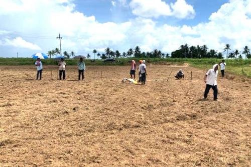 Jayadev Banana Farmers & Artisans Association