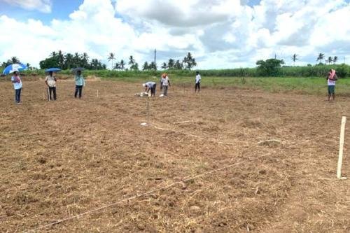 Jayadev Banana Farmers & Artisans Association